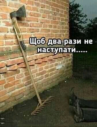 FB_IMG_16167347080866699.jpg
