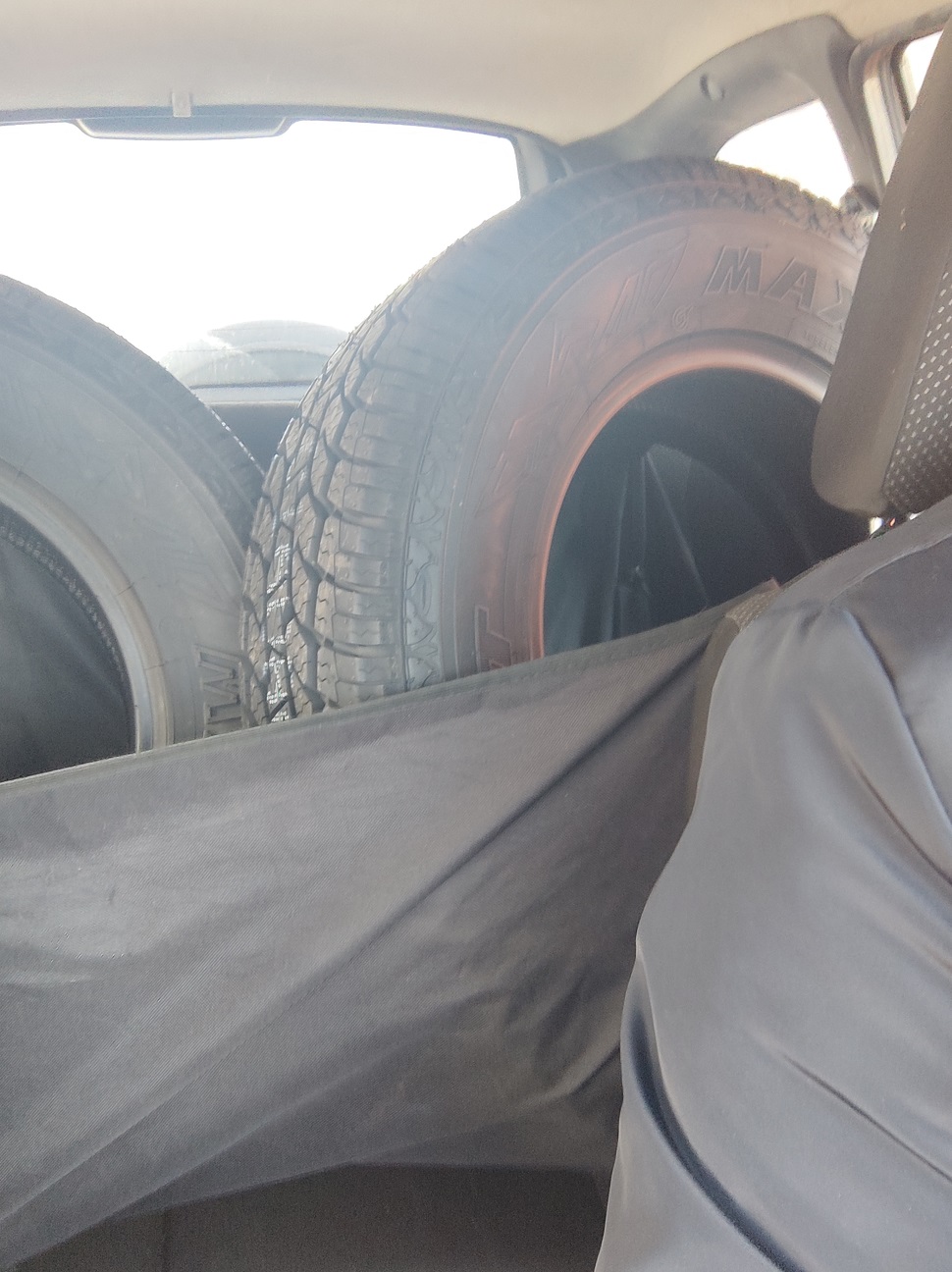 2023-04-05 09-55-07.JPG