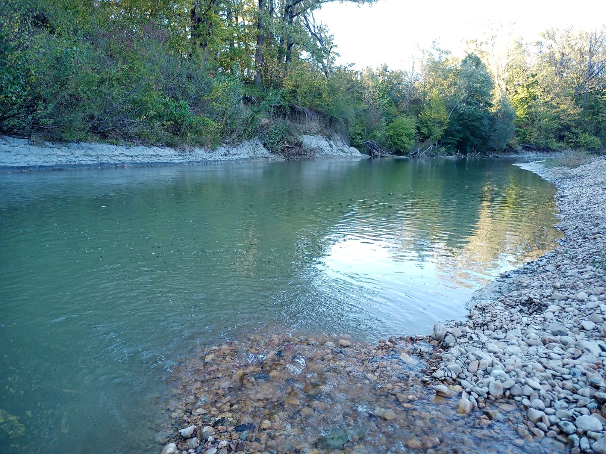 IMG_20240928_165854_992.jpg