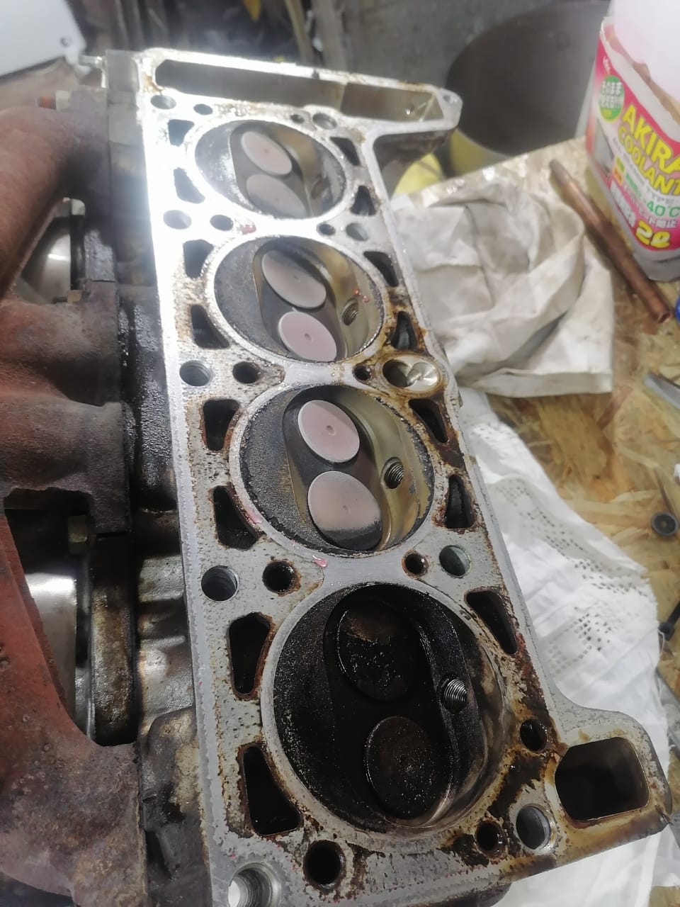 WhatsApp Image 2025-11-05 at 08.42.40.jpeg