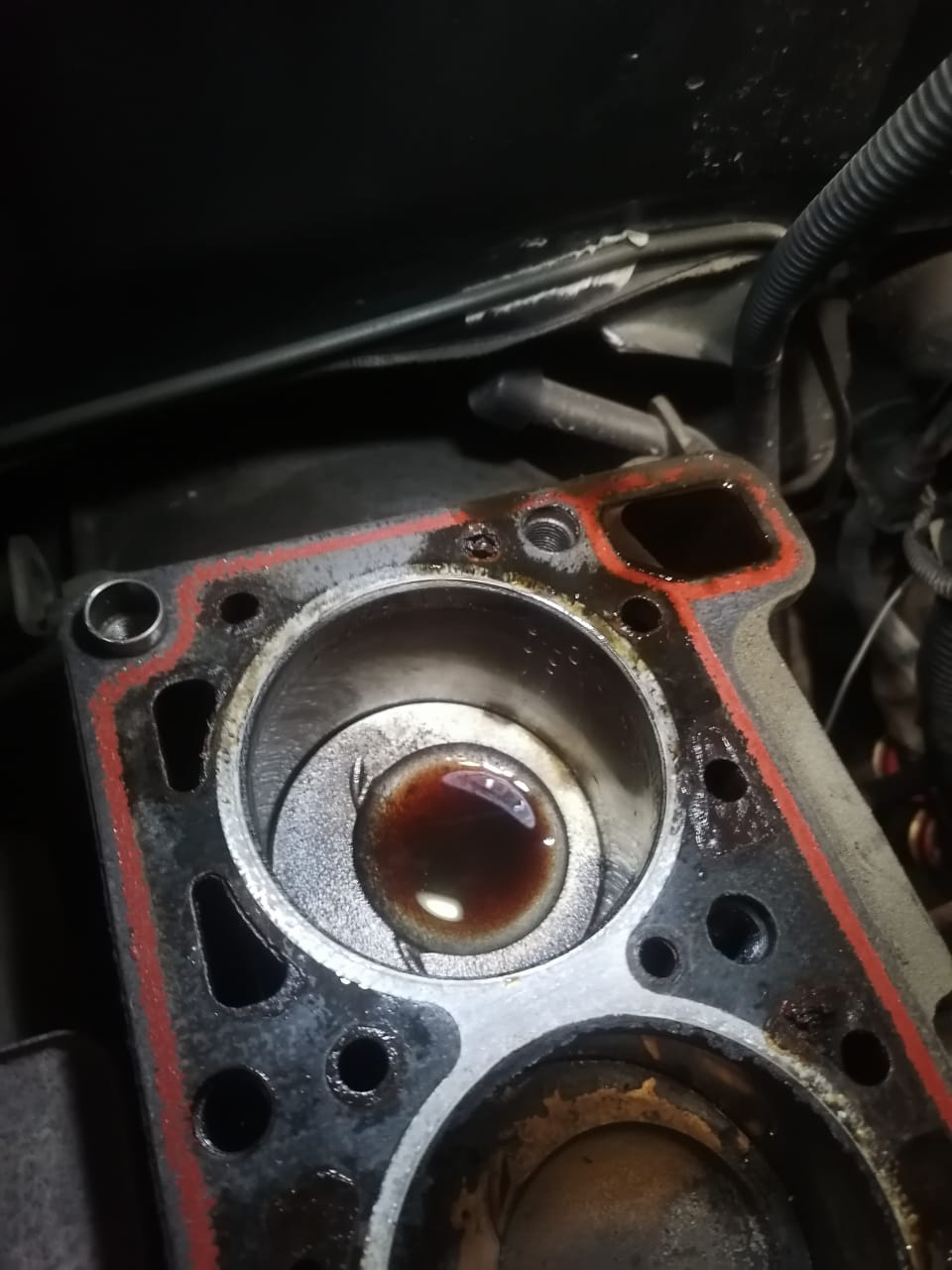 WhatsApp Image 2025-11-05 at 08.42.14.jpeg