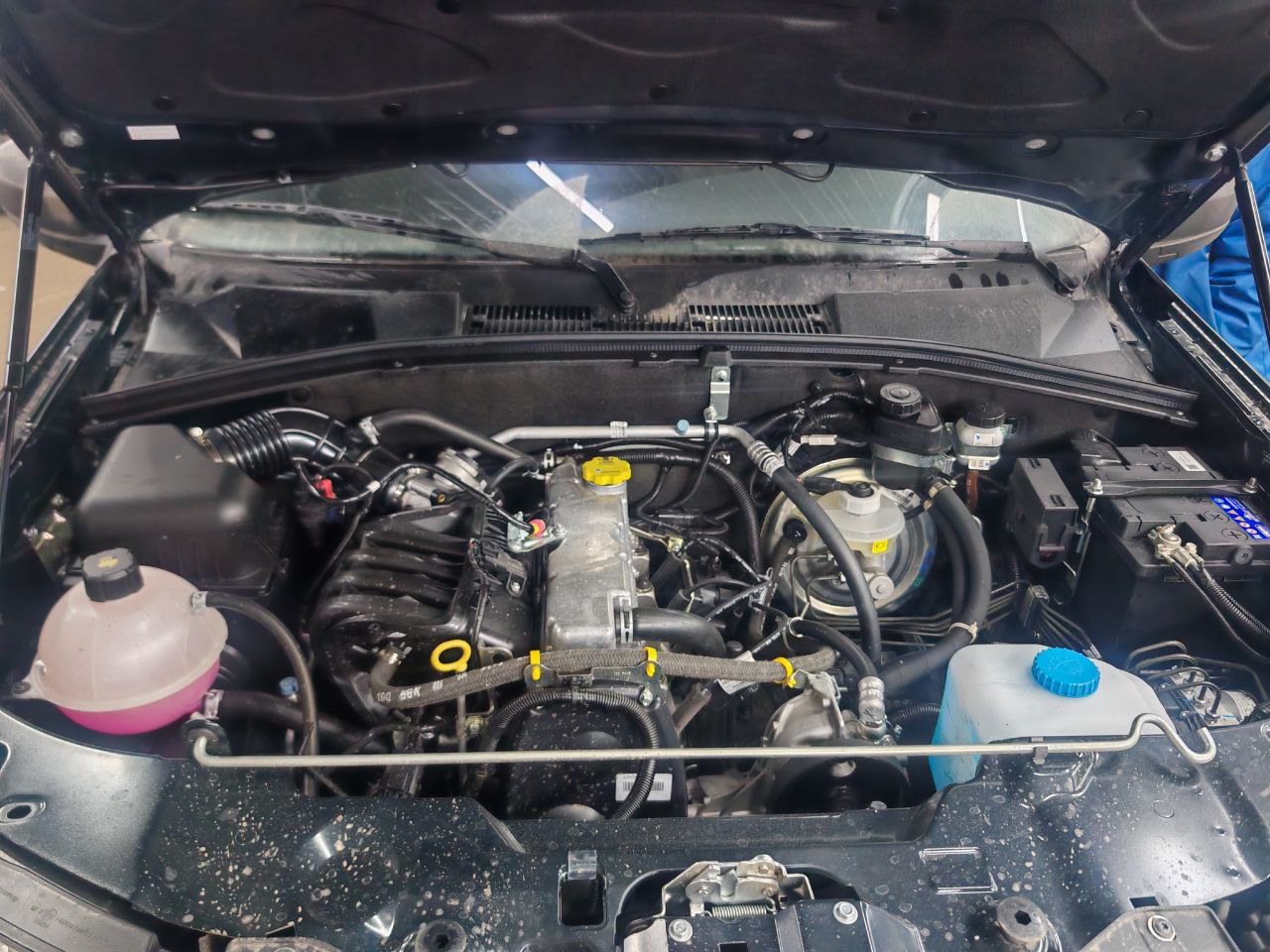 photo_2025-12-24_02-15-27 (3).jpg