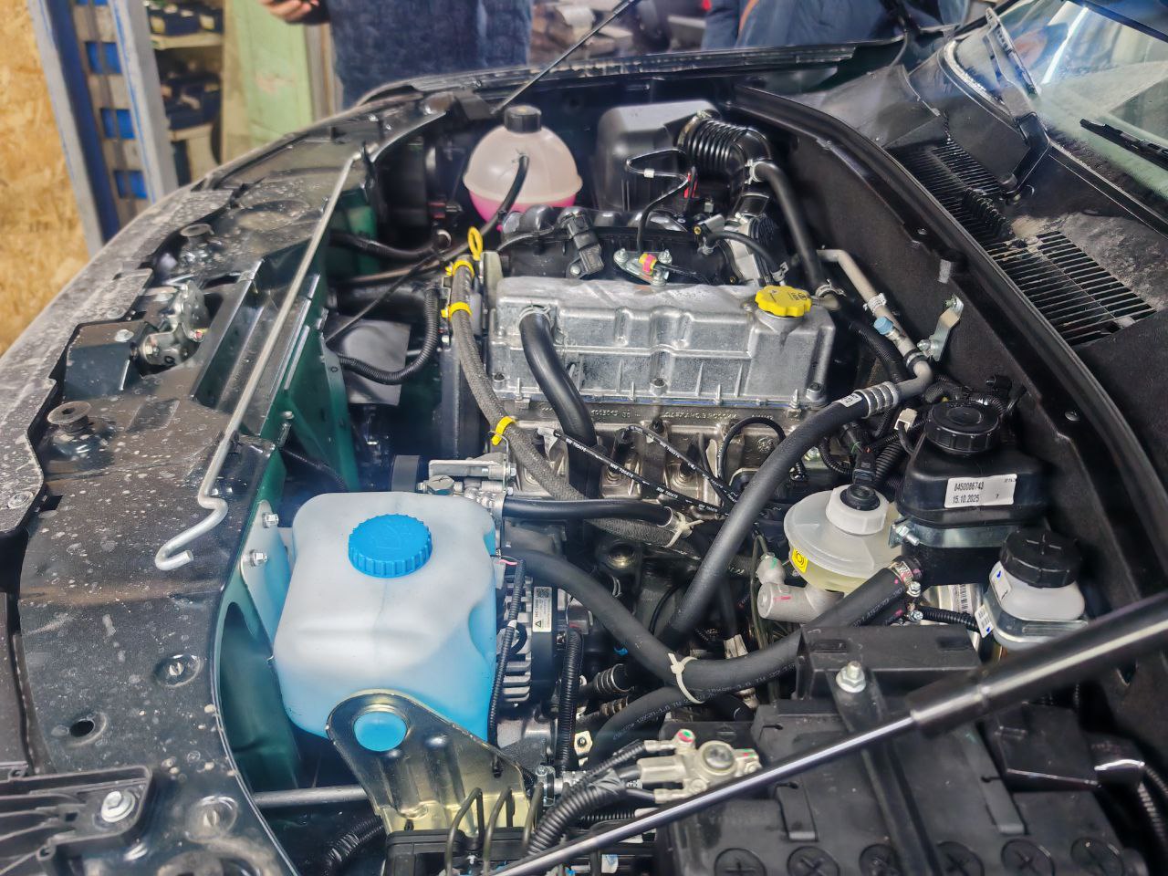 photo_2025-12-24_02-15-27 (2).jpg