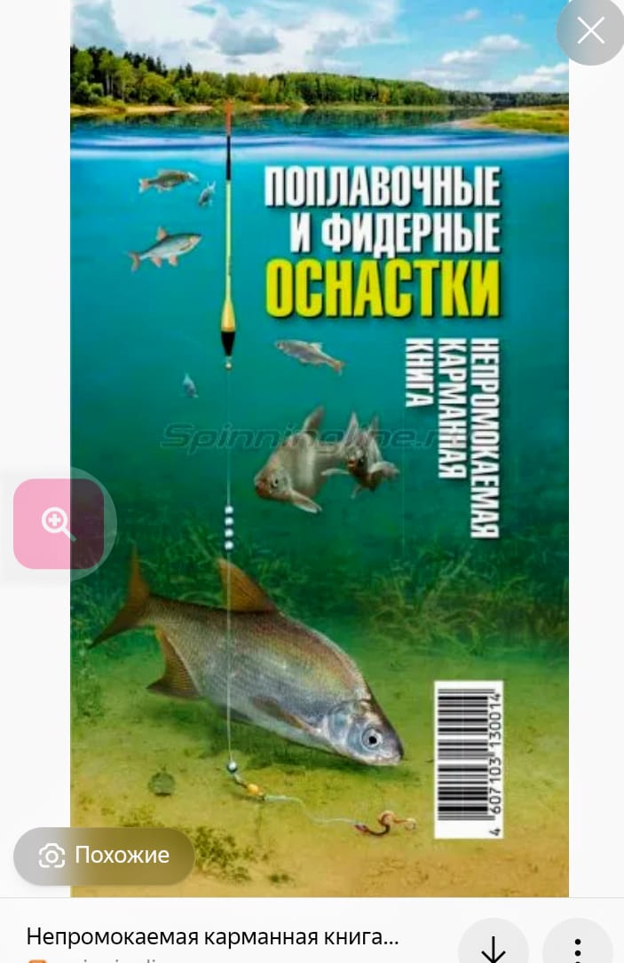 IMG-20260310-WA0002.jpg