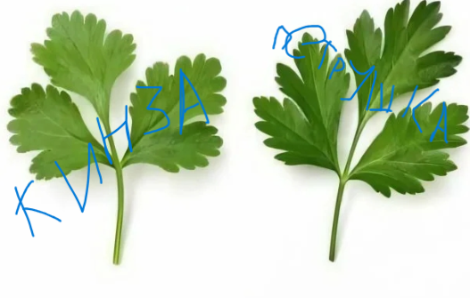 Снимок экрана 2026-03-22 123450.png