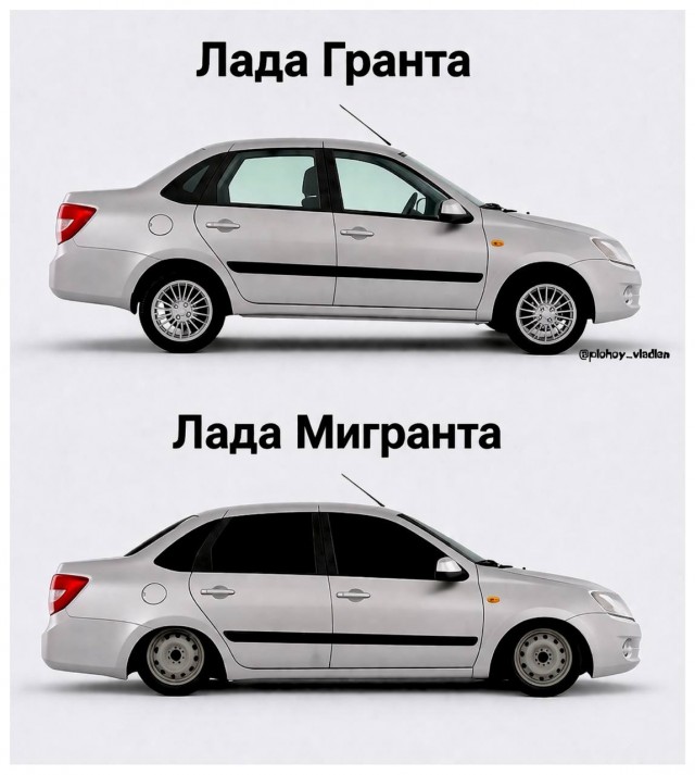 20959639.jpg