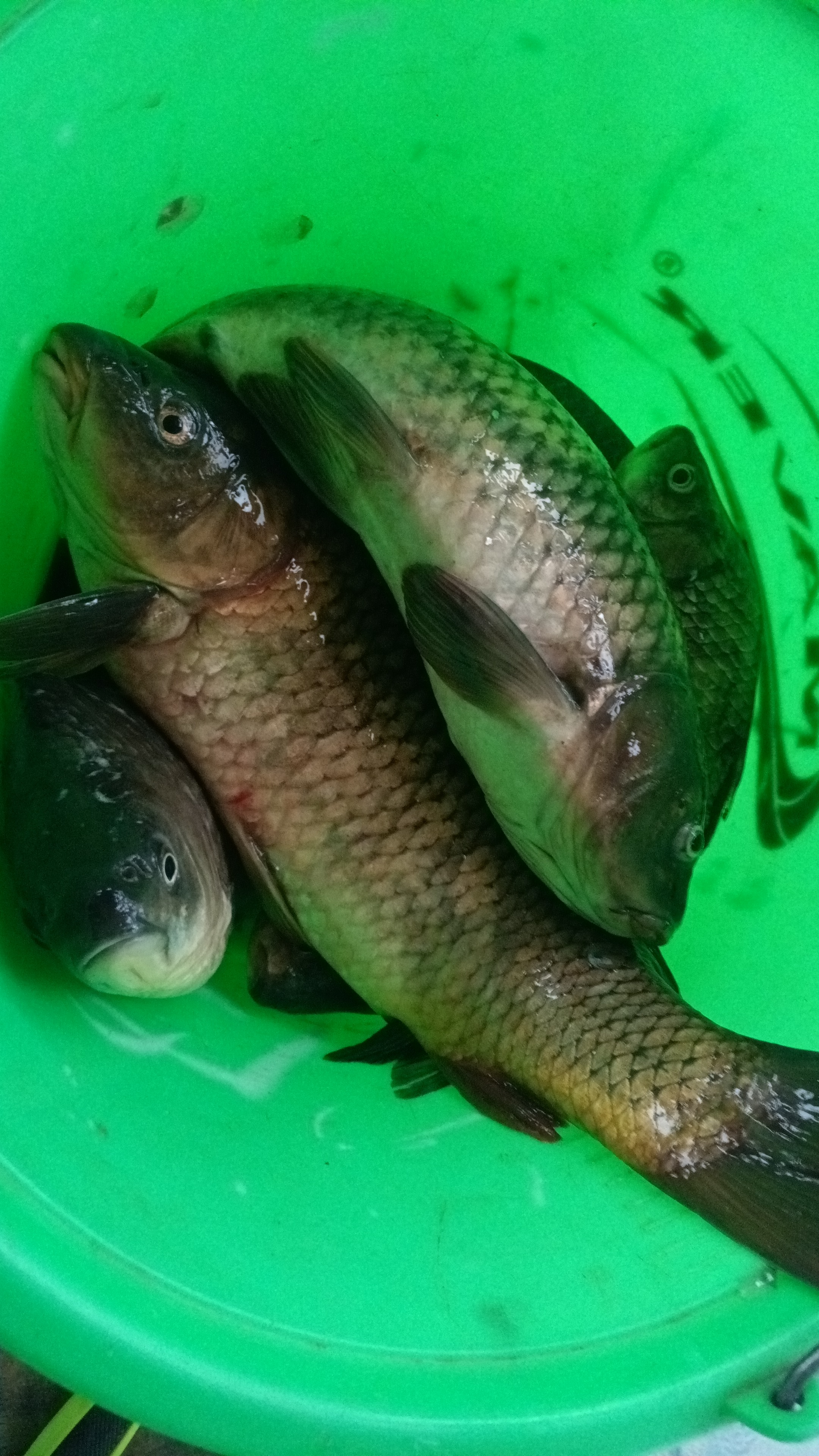 IMG-20260531-WA0001.jpeg