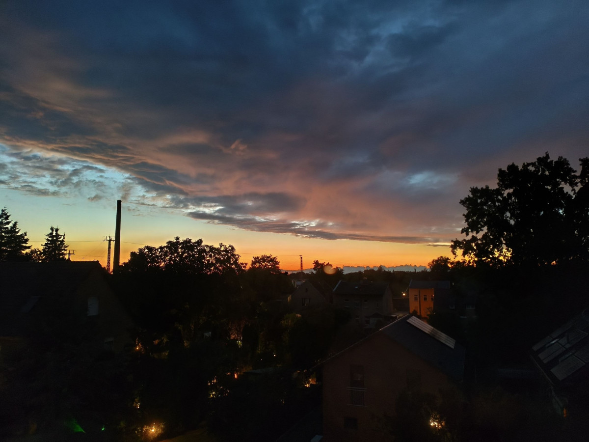 53906.jpg