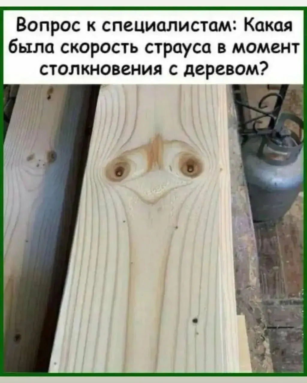 34738919_3323.jpg