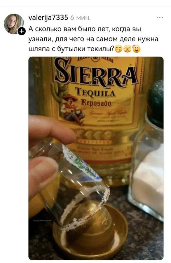 изображение_2026-09-10_170847992.png