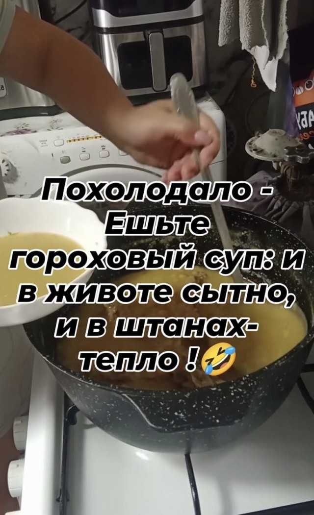 21293318.jpg