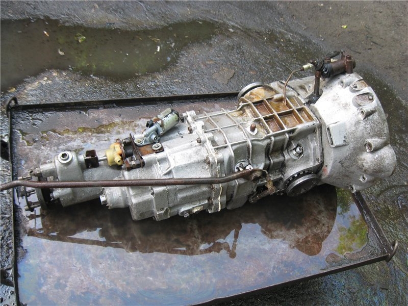 55191.jpg