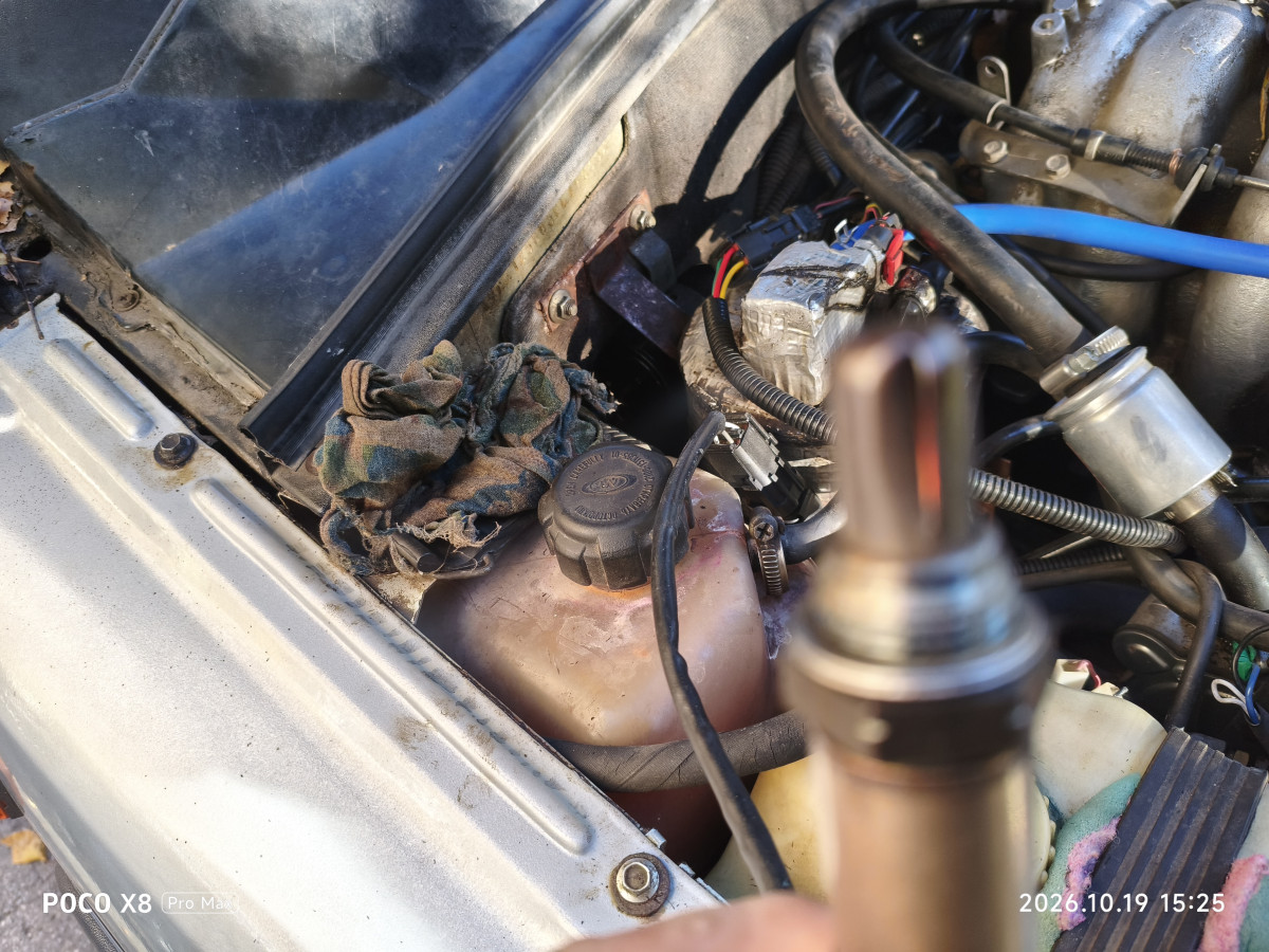 MVIMG_20261019_152555[1].jpg