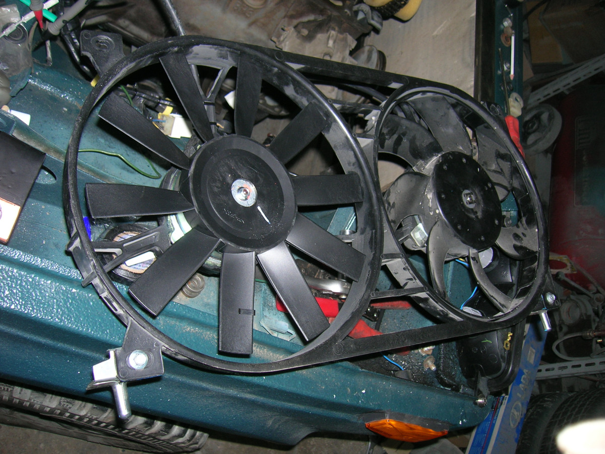 DSCN9565.JPG