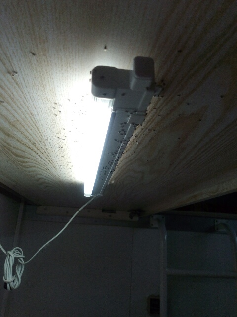 tmp-cam--1816267207.jpg