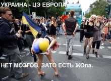 08-4128266-7ykav8-kxlq