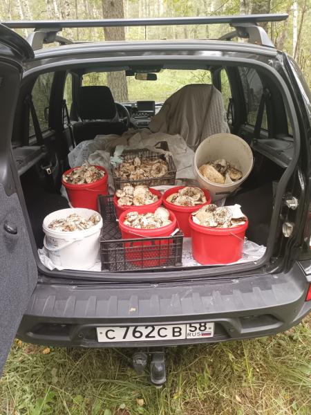 IMG 20250905 121248 809